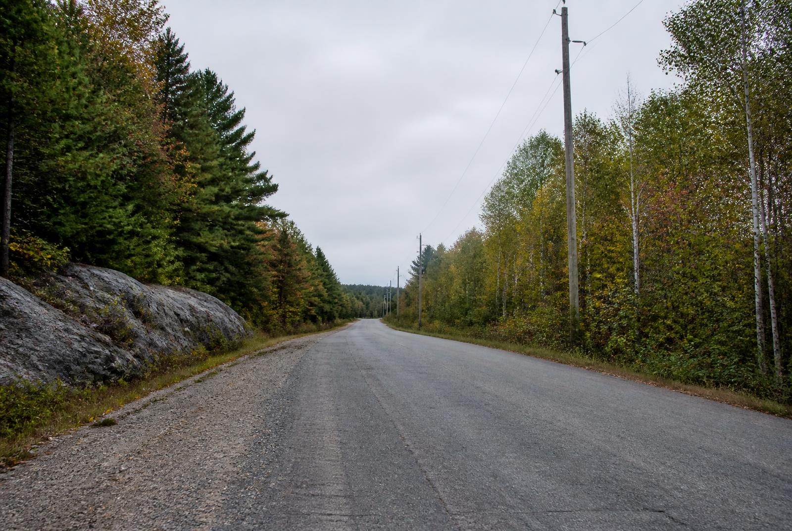 Pine and granite along a quiet road near Nobel Ontario