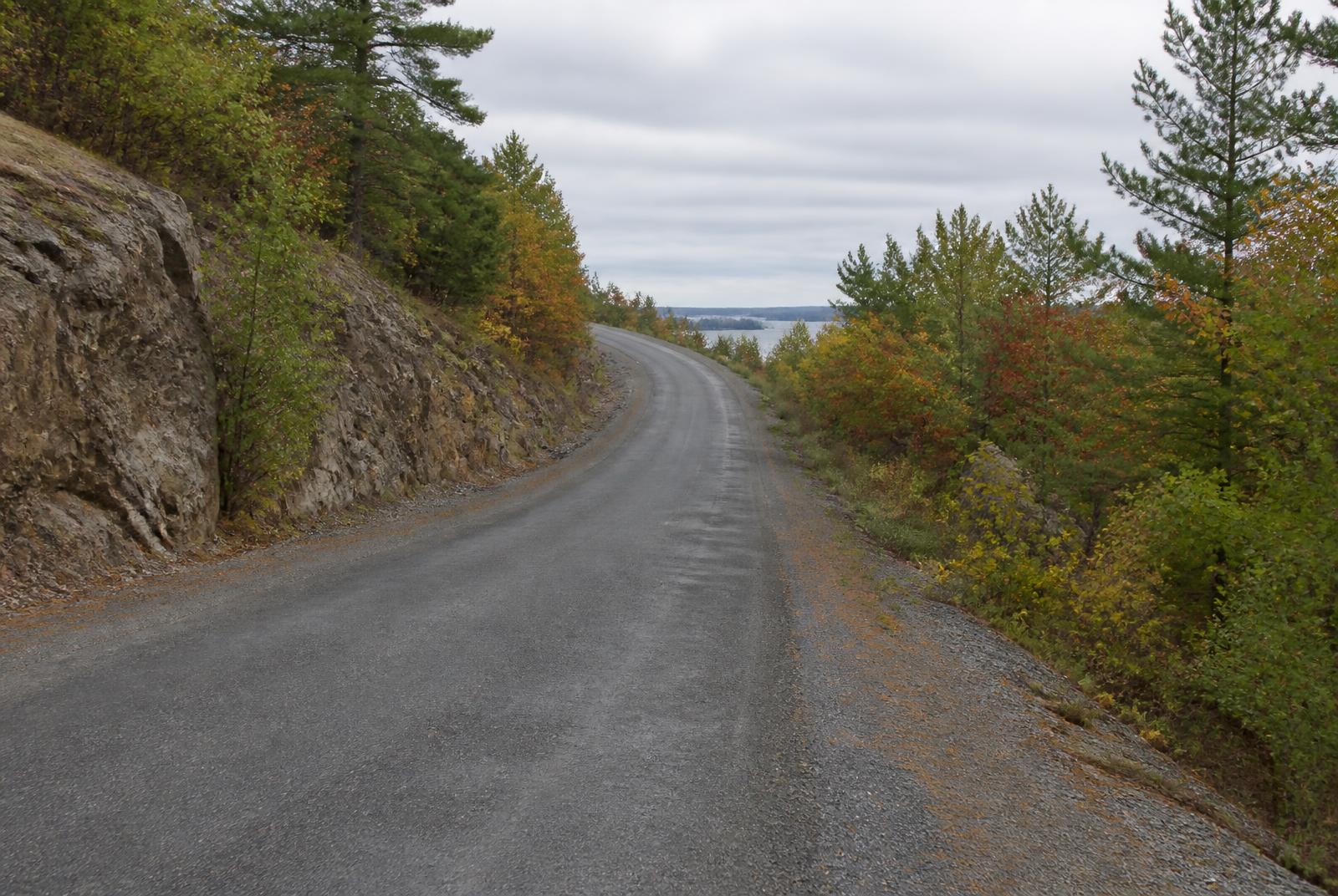 Rural road climbing through granite and pine at Carling Heights