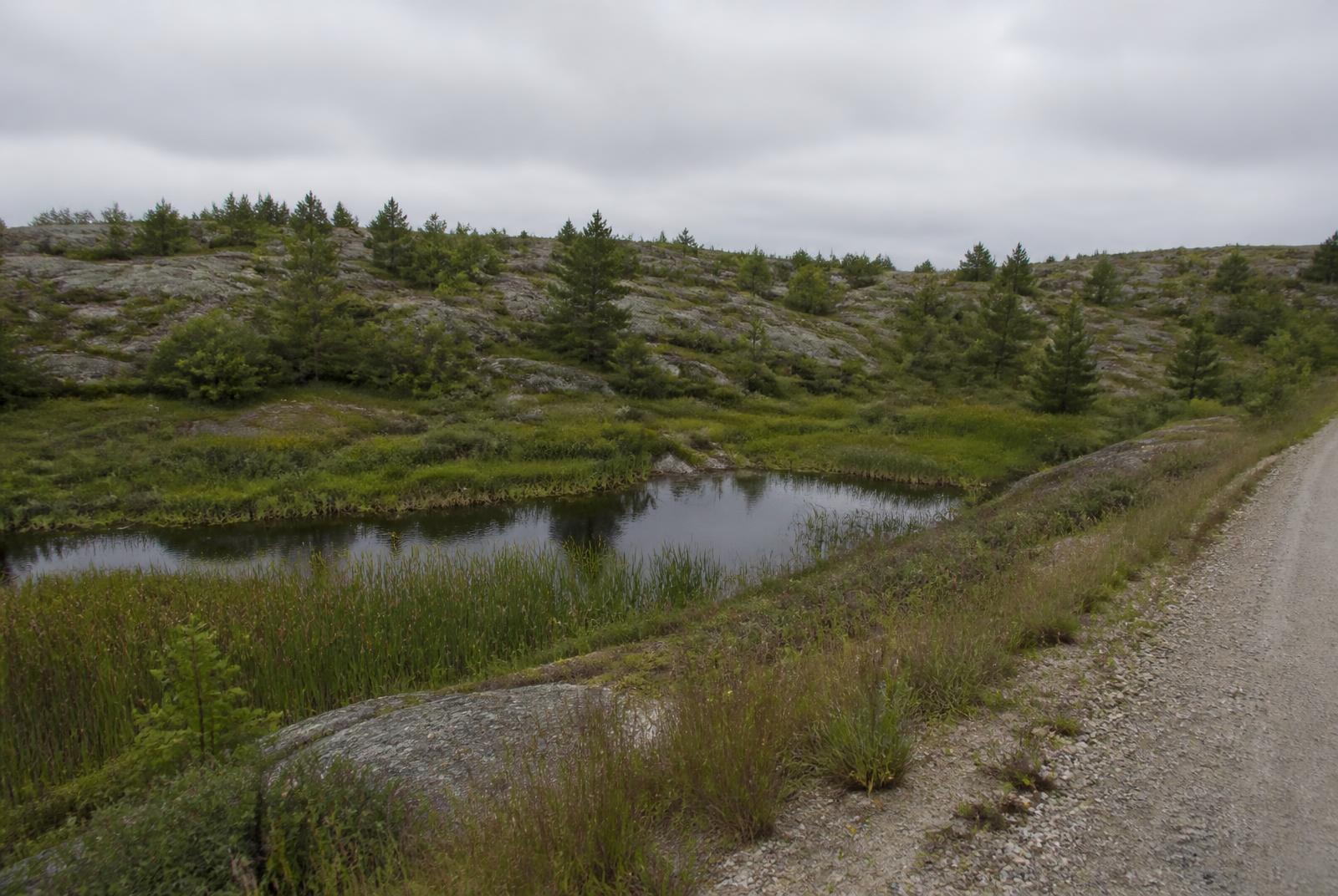 Wetland rock barrens and pine along Shebeshekong Road